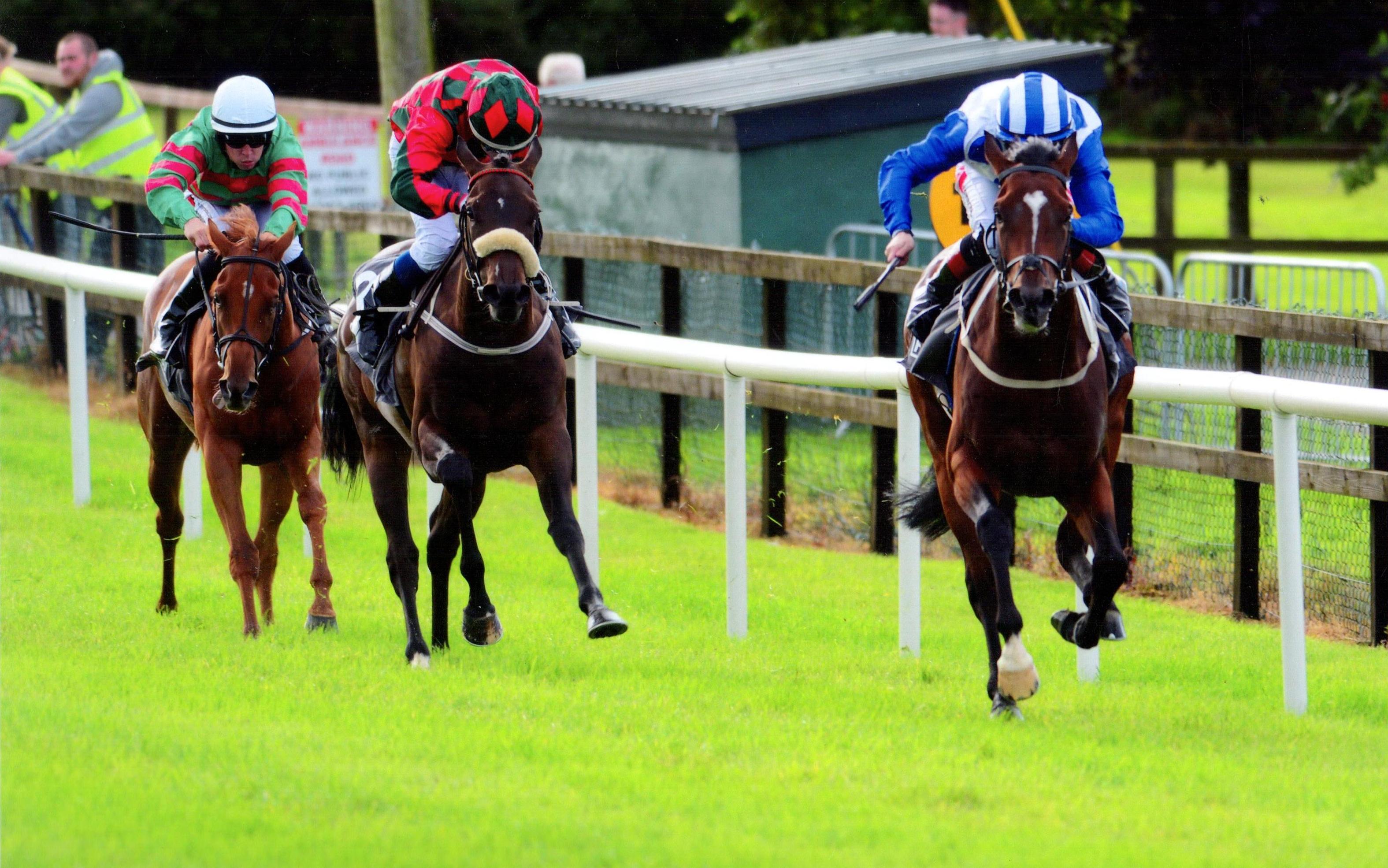 POETIC LIGHT gets his head in front to win his maiden at Bellewstown 30th August 2017